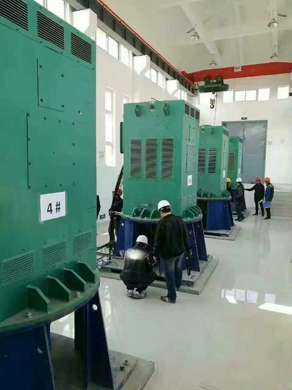 YRKK7102-4某污水处理厂使用我厂的立式高压电机安装现场