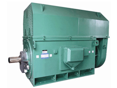 YRKK7102-4Y系列6KV高压电机品质保证