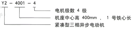 YR系列(H355-1000)高压YRKK7102-4三相异步电机西安西玛电机型号说明